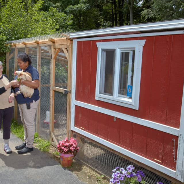 chicken coop goddard house assisted living