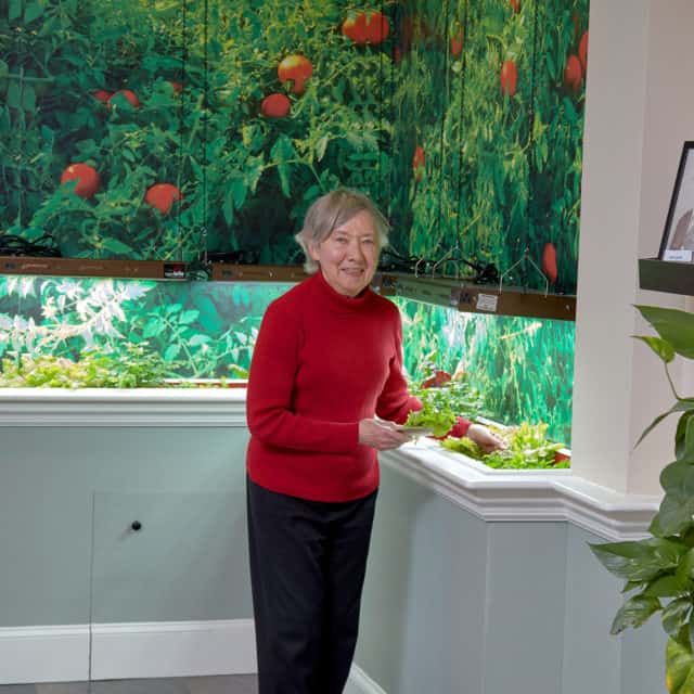 Photo of indoor herb garden at Goddard