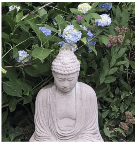 mindful aging classes brookline